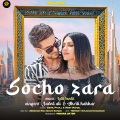 Javed Ali、Akriti Kakkar - Socho Zara