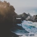 Tammy