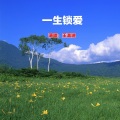 王温迪 - 一生锁爱