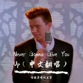 唱歌烫嘴的后羿 - Never Gonna Give You Up (愚人节特供绝不欺骗你)