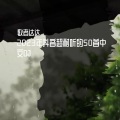 歌者达达 - 我要上班 (DJ版)
