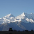 羊无名 - 大山