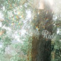 龙妹Violin•Srante - Sugar Rush Ride (糖瘾)