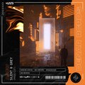 ASOW - Silent & Grey (Radio Edit)
