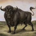 San Fermin - Bar
