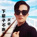 王艺枫 - 文亦-下辈子不来了