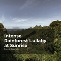 Intense Rainforest Lullaby at Sunrise