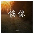三胖muic - 伤你 (DJ版)