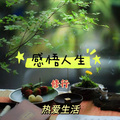感悟人生丨 修行 丨热爱生活