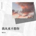 我从来不想你 (Demo)