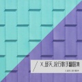 X.邱天.流行歌手 - 簇拥烈日的花
