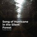 Song of Hurricane in the Silent Forest