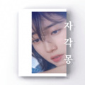 金渽耶 - 자각몽