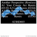 another perspective (Your Cousin Avi Remix)