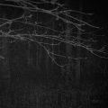 Consumane、Pavel Efimov - Hurt