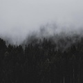 xiaolizi - 你总以为机会无限