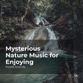 Mysterious Nature Music for Enjoying