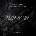 Never Gonna Give You Up (Acoustic)