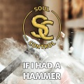 Soul Control - Radio Version (If I Had a Hammer)
