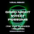 Green Neon DJ - Good Night Sweet Possums (Tik Tok Slowed + Reverb)(Remix)