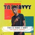 TN$ Savvy、Esam_SD、LordessQ - This Is What I Want (feat. Esam_SD & LordessQ)