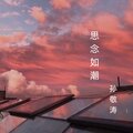 孙敬涛 - 思念如潮