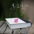 张茜 - 某先生