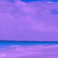 Élan Vital - A Certain Appeal
