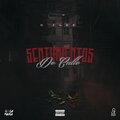Sentimientos De Calle (Explicit)