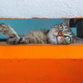 Experimentales IIl: H3LLCAT