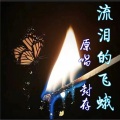 晓封哥 - 流泪的飞蛾