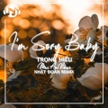 Nhật Đoàn、Trọng Hiếu、Mai Âm Nhạc - I'm Sorry Babe Remix