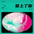 王文文 - 爱上了你
