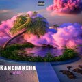 DJ Ray - Kamehameha (Explicit)