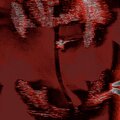 thxyh8plxto、M4RII - P E R S O N A  ¿ (Explicit)