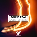 Sound Real - Dubstep 2023 (Explicit)