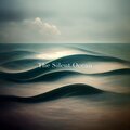 The Silent Ocean - Orca