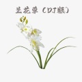 DJ大少 - 兰花草