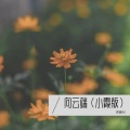 向云端 (小霞版)