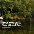 Best Moderate Woodland Beat