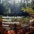 Meditate with Woods Precipitation Tune