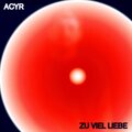 Acyr、DJ Frenetikk - Zu Viel Liebe (feat. DJ Frenetikk)