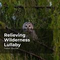 Relieving Wilderness Lullaby