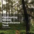 Captivating Woods Magnificence Tone