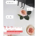 想和你