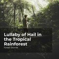 Lullaby of Hail in the Tropical Rainforest