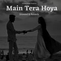 Yenkee Singh - Main Tera hoya Sambhal le (Slowed & Reverb)