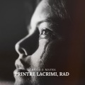 Printre Lacrimi, Rad