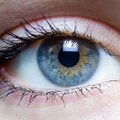 Deep Eyes - Forest