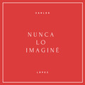 Nunca lo Imaginé